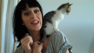 Katy Perry GIF. Artiesten Katy perry Gifs Muziekvideo Roar 