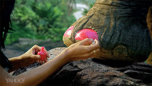 Tijger GIF. Dieren Artiesten Tijger Katy perry Gifs Vrouw Sterk Roar Katy perry gebrul 