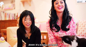 Katy Perry GIF. Artiesten Katy perry Gifs Roar 