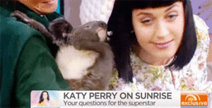 Katy Perry GIF. Artiesten Katy perry Sexy Gifs Pruik Teenage dream Lip beet 