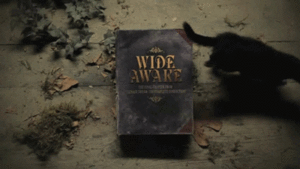 Katy Perry GIF. Artiesten Tv Katy perry Gifs 2013 The tonight show 