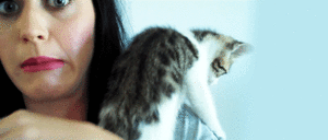 Katy Perry GIF. Valentijnsdag Artiesten Valentijn Katy perry Gifs Transparant Dansen haai Tijger verslaan 