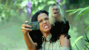 Katy Perry GIF. Artiesten Katy perry Gifs Roar Katy perry gebrul 