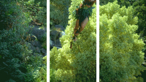Katy Perry GIF. Artiesten Katy perry Gifs Roar 