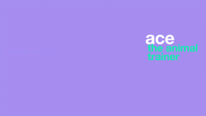 Katy Perry GIF. Artiesten Katy perry Gifs Roar 