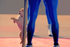 Katy Perry GIF. Artiesten Katy perry Gifs Et Mode &amp;amp; beauty 