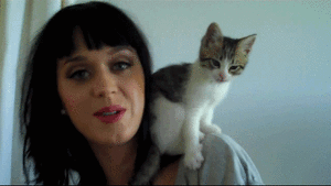 Katy Perry GIF. Huilen Bioscoop Pijn Artiesten Katy perry Gifs Grijpen The one that got away 