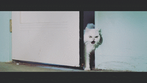 Katy Perry GIF. Artiesten Mode Katy perry Gifs Mtv Emas 2013 