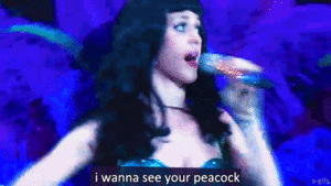 Katy Perry GIF. Muziek Artiesten Katy perry Gifs Knal 