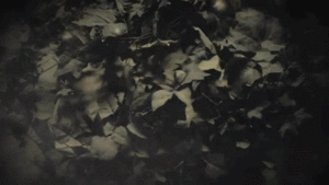Katy Perry GIF. Artiesten Katy perry Gifs Muziekvideo Roar 