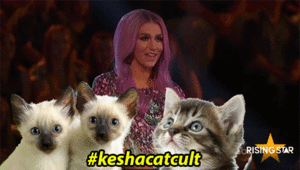 Kesha GIF. Artiesten Gifs Kesha Partij Tijd voor een feestje 