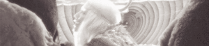 Kesha GIF. Artiesten Gifs Kesha Keha Kesha24hours 