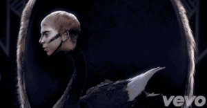 Lady Gaga GIF. Artiesten Lady gaga Gifs Ik hou zoveel van jou 