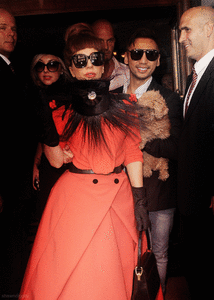 Madonna GIF. Grappig Artiesten Lady gaga Madonna Gifs Snl Figting 