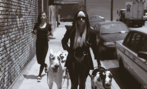 Lady Gaga GIF. Artiesten Lady gaga Gifs Geen Het oneens zijn 