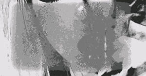 Lady Gaga GIF. Artiesten Lady gaga Gifs Een zonnebril 