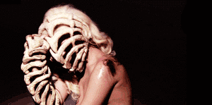 Lady Gaga GIF. Artiesten Lady gaga Gifs Het leven Echte leven 