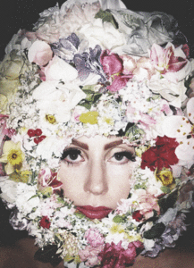Lady Gaga GIF. Muziek Artiesten Lady gaga Gifs Love game 