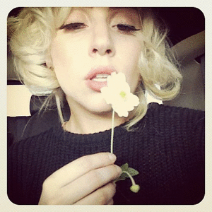 Lady Gaga GIF. Muziek Artiesten Lady gaga Gifs Knal Zo geboren 