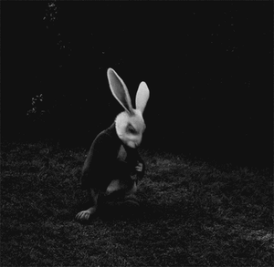 Lady Gaga GIF. Artiesten Lady gaga Gifs Oscars 2015 Geluid van de muziek 