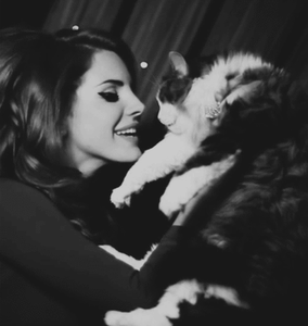 Lana Del Rey GIF. Artiesten Gifs Lana del rey Wijnoogst B &amp;amp; w Zwart en wit Blauw fluweel Lana del rey blauw fl 