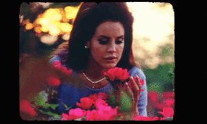 Lana Del Rey GIF. Bloemen Artiesten Gifs Lana del rey Wijnoogst Volkslied 
