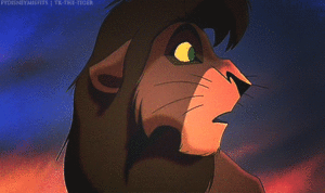 Tijger GIF. Dieren Leeuw Tijger Gifs 