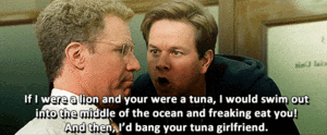 Tijger GIF. Dieren Leeuw Tijger Gifs 