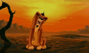 Baby GIF. Baby Leeuw Gifs 