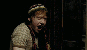 Tijger GIF. Dieren Leeuw Tijger Gifs 