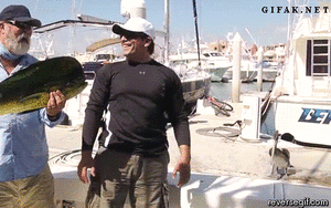 Baby GIF. Baby Leeuw Gifs 