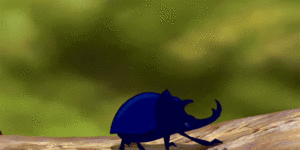 Honden GIF. Dieren Leeuw Gifs Hond 