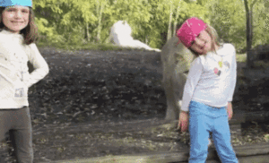 Baby GIF. Baby Leeuw Gifs 
