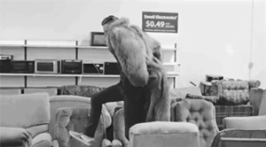 Macklemore GIF. Artiesten Tv Gifs Macklemore 