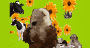 Madonna GIF. Artiesten Madonna Gifs 