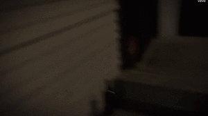 Maroon 5 GIF. Artiesten Gifs Adam levine Maroon 5 The voice 