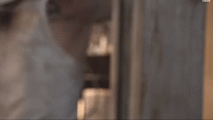Maroon 5 GIF. Artiesten Gifs Maroon 5 Mickey woedend 
