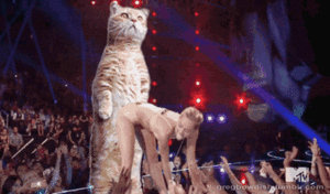 Miley Cyrus GIF. Artiesten The simpsons Miley cyrus Gifs Homer simpson Funny or die The simpsons movie Miley memes 