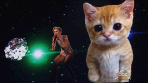 Miley Cyrus GIF. Muziek Artiesten Miley cyrus Tv Ruimte Gifs 2013 Katje Ama American music awards Abc 