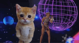 Miley Cyrus GIF. Artiesten Miley cyrus Gifs Amas2013 Wrecking ball 