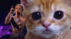 Miley Cyrus GIF. Muziek Artiesten Miley cyrus Tv Gifs Katje Ama American music awards Abc 