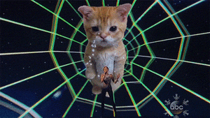 Miley Cyrus GIF. Artiesten Miley cyrus Gifs De mond vol tanden 