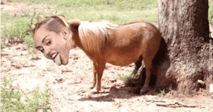 Miley Cyrus GIF. Boos Artiesten Miley cyrus Dronken Gifs  Gek 