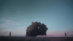 Paramore GIF. Artiesten Paramore Gifs Album Deksel Chsie 