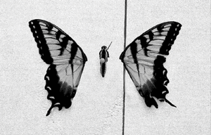 Paramore GIF. Artiesten Paramore Gifs 