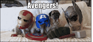 Mopshond GIF. Dieren Zee Gifs Mopshond Zeeschildpad 