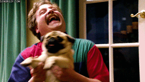Mopshond GIF. Dieren Gifs Mopshond 