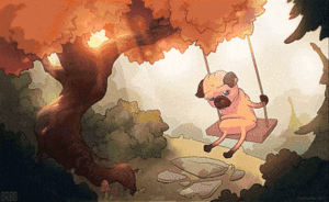Honden GIF. Dieren Gifs Hond Mopshond 