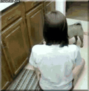 Mopshond GIF. Dieren Gifs Mopshond Marionet 