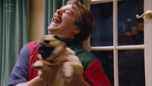 Mopshond GIF. Dieren Dansen Gifs Mopshond Gelukkig 